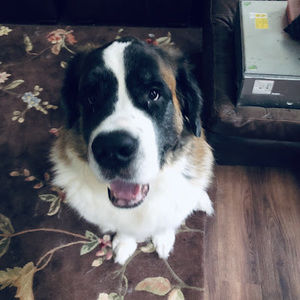 Meet your Posher, Derrick